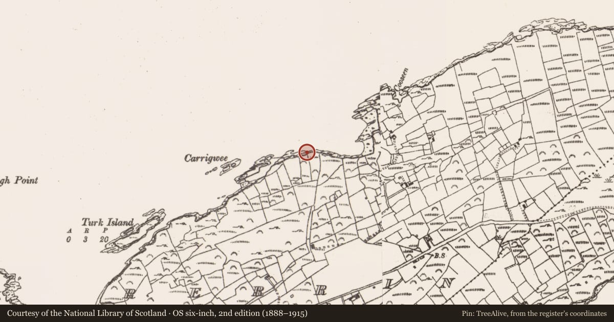 Ordnance Survey six-inch map, 2nd edition (1888–1915) covering the location of Children's burial ground, Rerrin, County Cork, with a pin at the register's coordinates