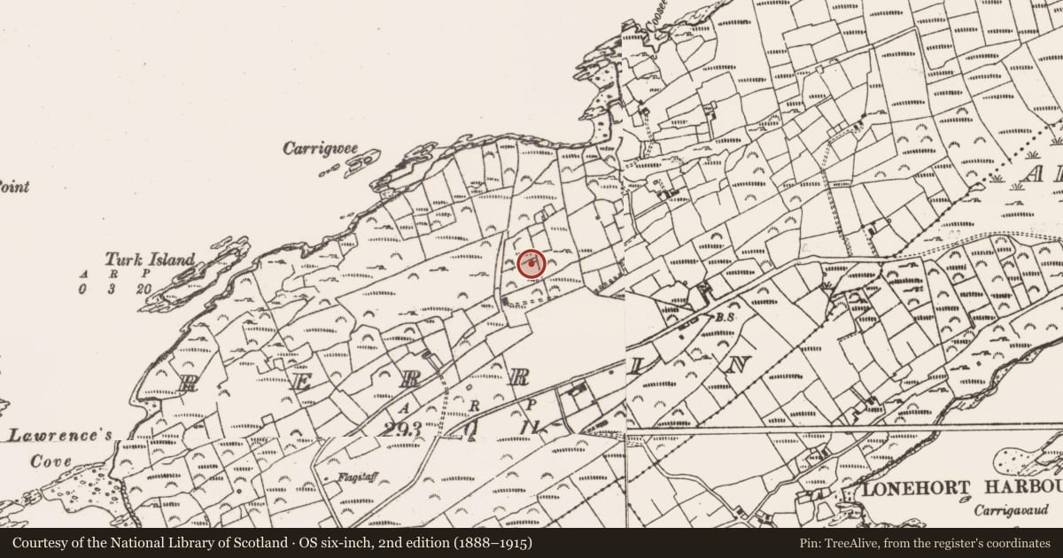 Ordnance Survey six-inch map, 2nd edition (1888–1915) covering the location of Enclosure, Rerrin, County Cork, with a pin at the register's coordinates
