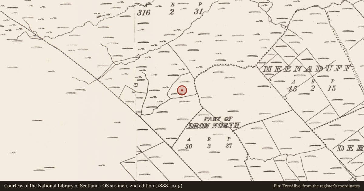 Ordnance Survey six-inch map, 2nd edition (1888–1915) covering the location of Burnt mound, Derreenataggart Commons, County Cork, with a pin at the register's coordinates