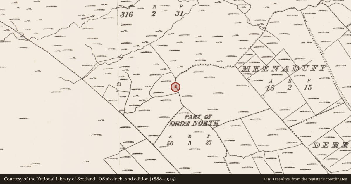 Ordnance Survey six-inch map, 2nd edition (1888–1915) covering the location of Hut site, Derreenataggart Commons, County Cork, with a pin at the register's coordinates