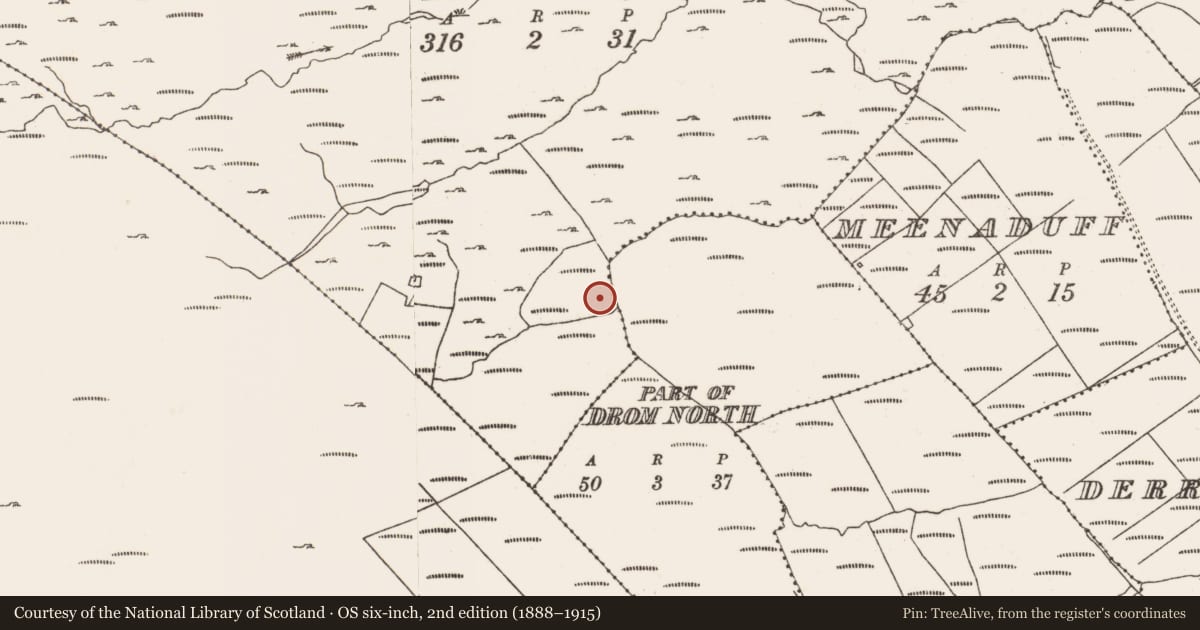 Ordnance Survey six-inch map, 2nd edition (1888–1915) covering the location of Fulacht fia, Derreenataggart Commons, County Cork, with a pin at the register's coordinates