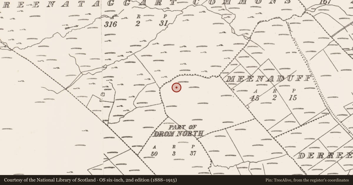 Ordnance Survey six-inch map, 2nd edition (1888–1915) covering the location of Hut site, Drom North, County Cork, with a pin at the register's coordinates