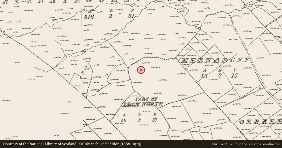 Ordnance Survey six-inch map, 2nd edition (1888–1915) covering the location of Field boundary, Drom North, County Cork, with a pin at the register's coordinates