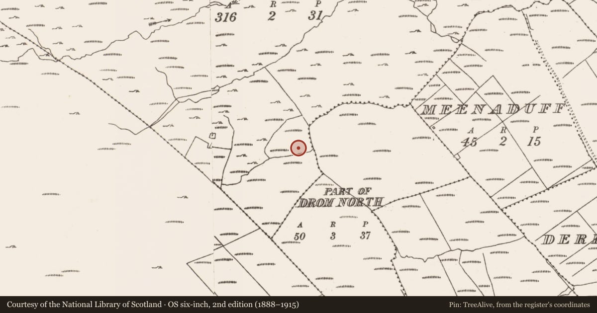 Ordnance Survey six-inch map, 2nd edition (1888–1915) covering the location of Fulacht fia, Derreenataggart Commons, County Cork, with a pin at the register's coordinates