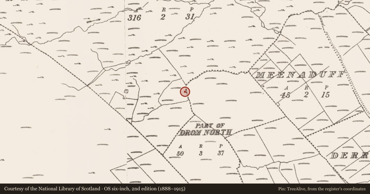 Ordnance Survey six-inch map, 2nd edition (1888–1915) covering the location of Fulacht fia, Derreenataggart Commons, County Cork, with a pin at the register's coordinates