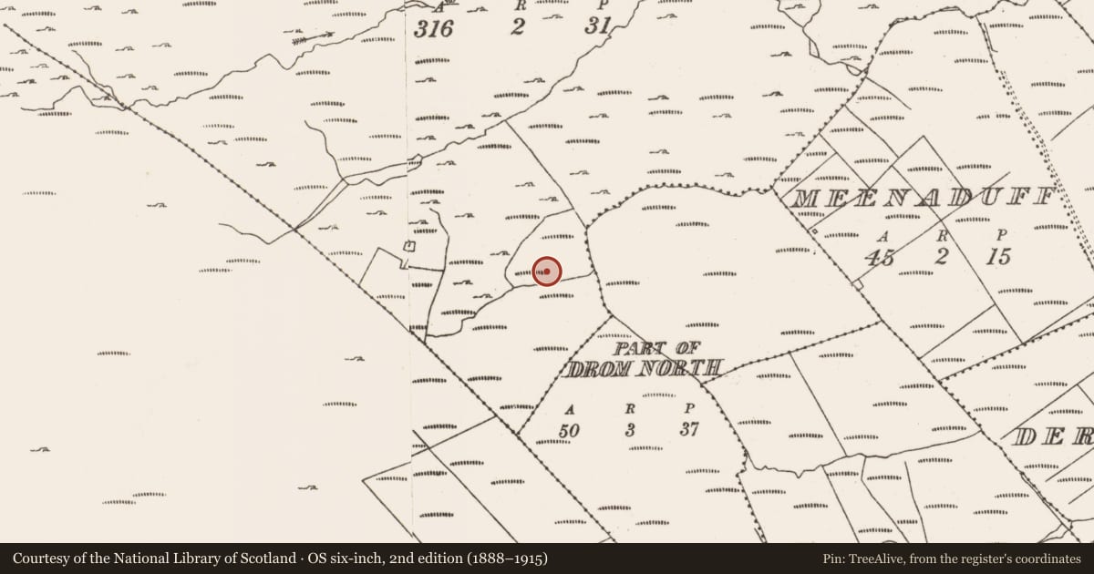 Ordnance Survey six-inch map, 2nd edition (1888–1915) covering the location of Field boundary, Derreenataggart Commons, County Cork, with a pin at the register's coordinates