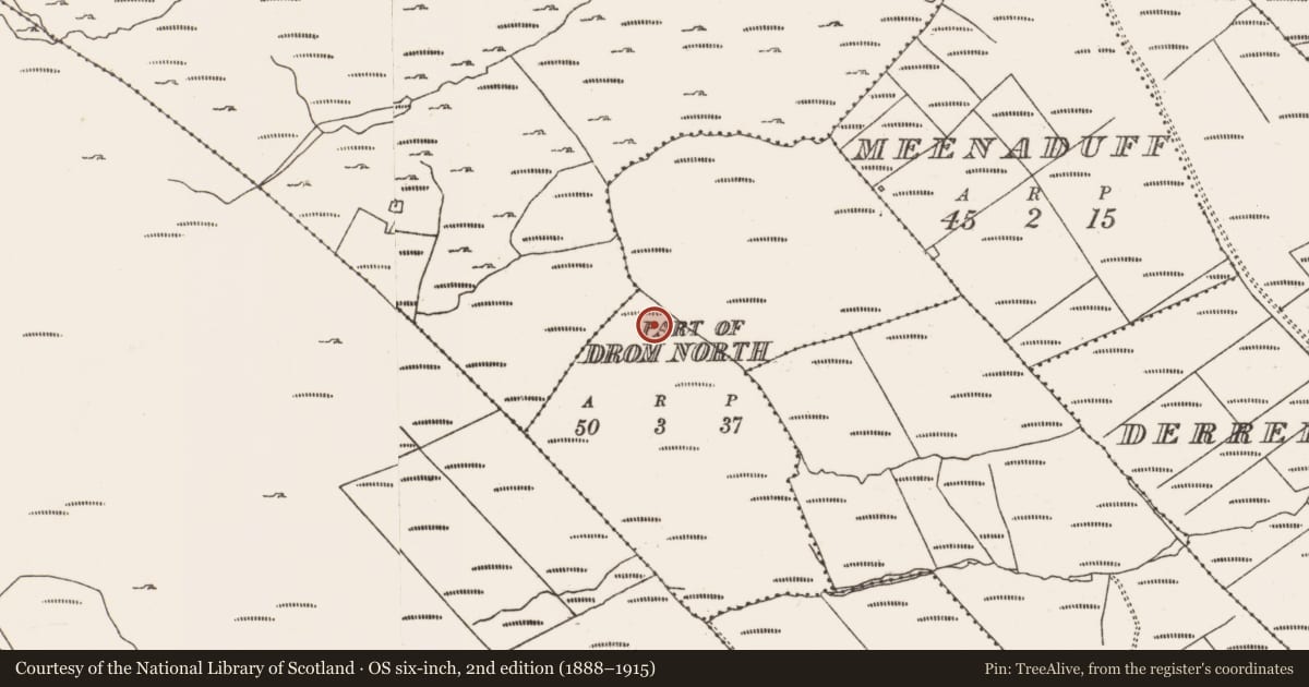 Ordnance Survey six-inch map, 2nd edition (1888–1915) covering the location of Fulacht fia, Drom North, County Cork, with a pin at the register's coordinates