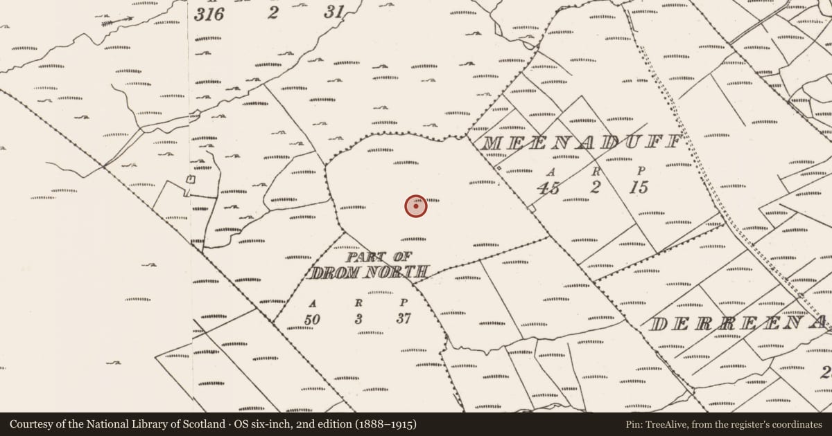 Ordnance Survey six-inch map, 2nd edition (1888–1915) covering the location of Field boundary, Drom North, Part of, County Cork, with a pin at the register's coordinates