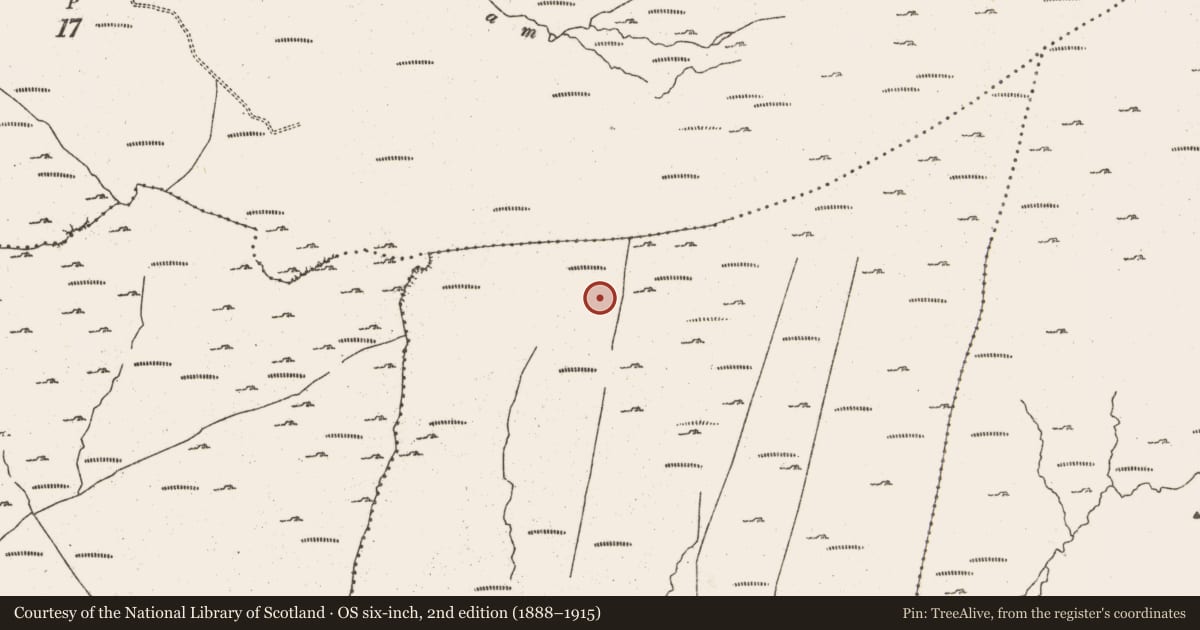 Ordnance Survey six-inch map, 2nd edition (1888–1915) covering the location of Field boundary, Rodeen, County Cork, with a pin at the register's coordinates