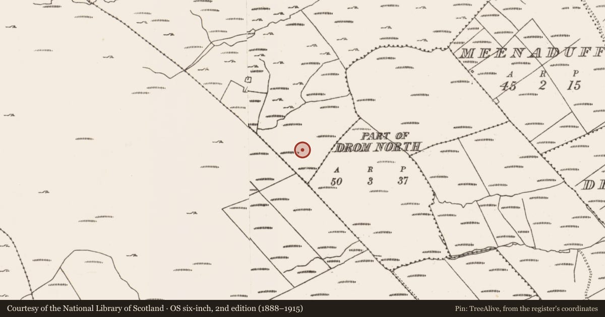 Ordnance Survey six-inch map, 2nd edition (1888–1915) covering the location of Hut site, Derreenataggart Commons, County Cork, with a pin at the register's coordinates