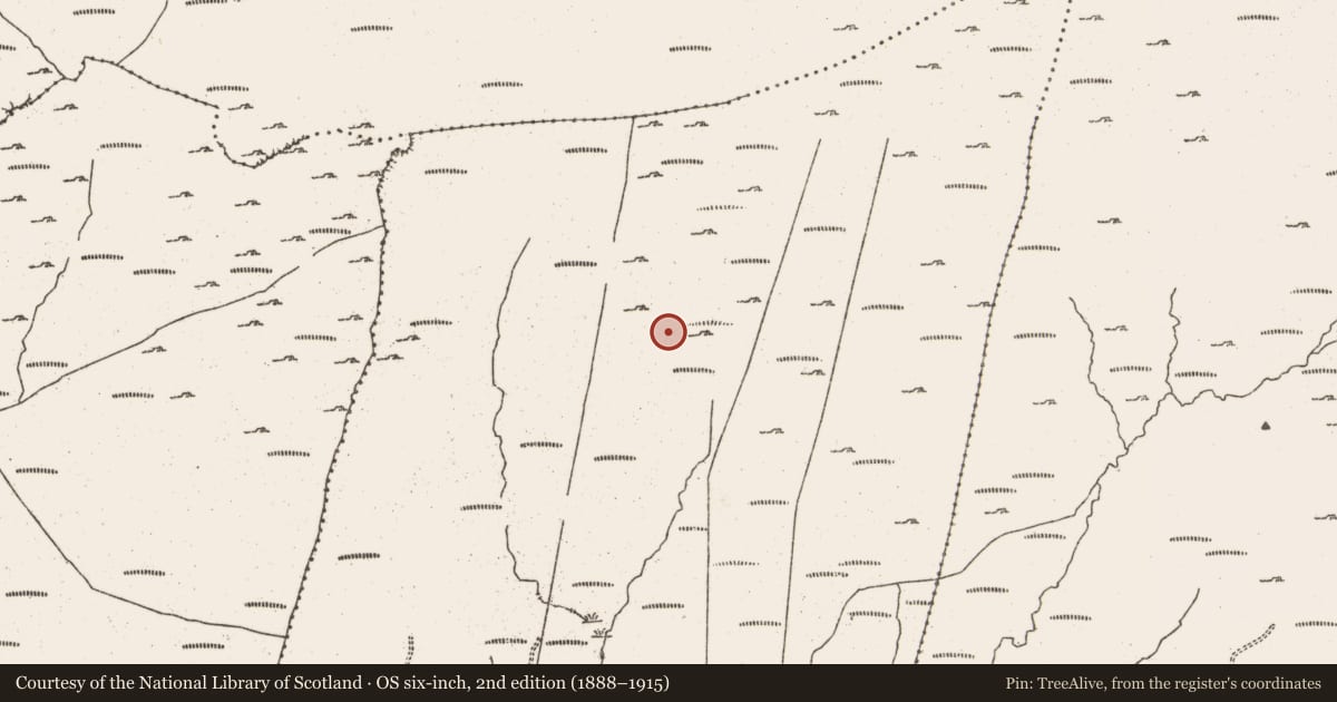 Ordnance Survey six-inch map, 2nd edition (1888–1915) covering the location of Hut site, Rodeen, County Cork, with a pin at the register's coordinates