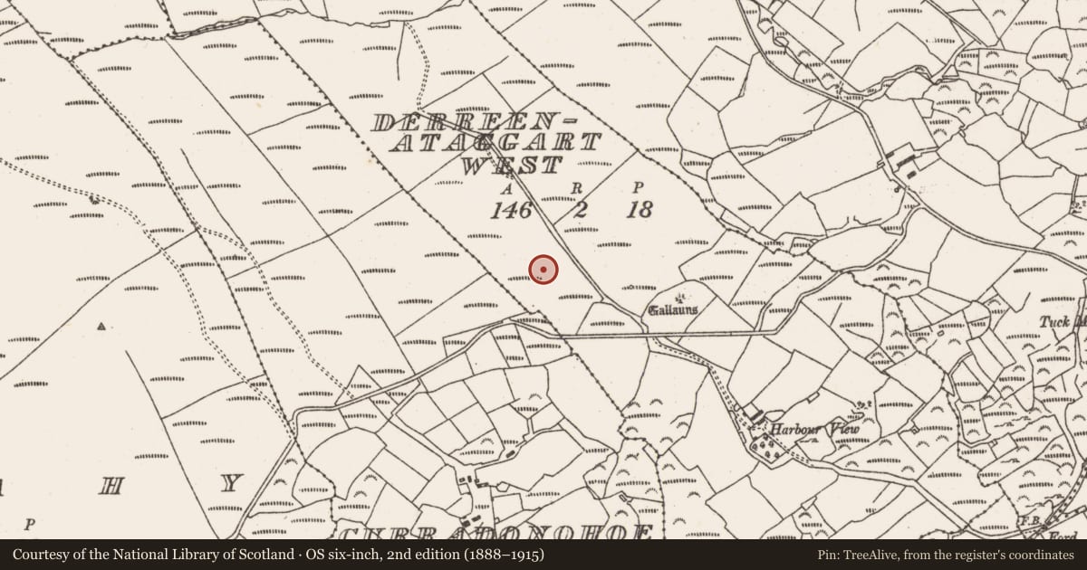 Ordnance Survey six-inch map, 2nd edition (1888–1915) covering the location of Standing stone - pair, Derreenataggart West, County Cork, with a pin at the register's coordinates