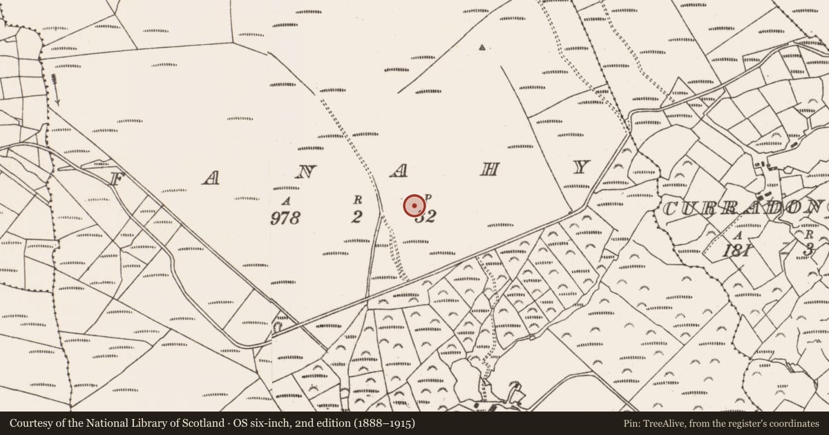 Ordnance Survey six-inch map, 2nd edition (1888–1915) covering the location of Field boundary, Fanahy, County Cork, with a pin at the register's coordinates