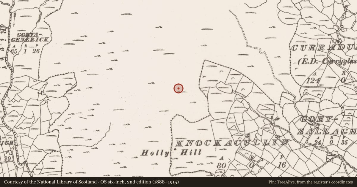 Ordnance Survey six-inch map, 2nd edition (1888–1915) covering the location of Hut site, Rossmackowen Commons, County Cork, with a pin at the register's coordinates