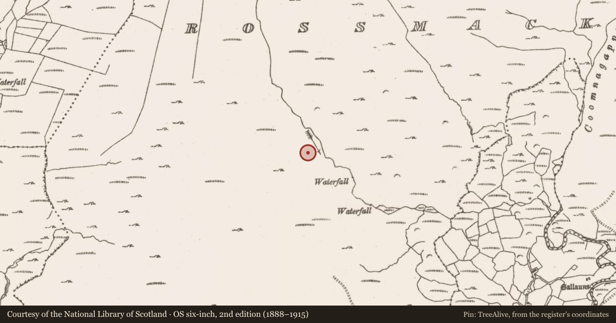 Ordnance Survey six-inch map, 2nd edition (1888–1915) covering the location of Hut site, Rossmackowen Commons, County Cork, with a pin at the register's coordinates