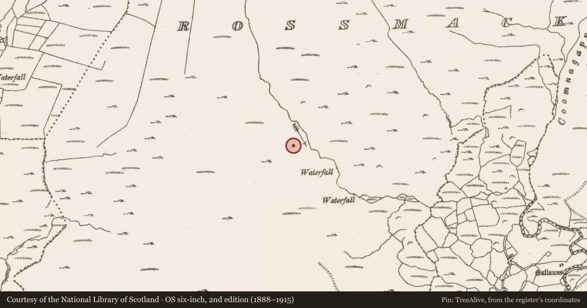 Ordnance Survey six-inch map, 2nd edition (1888–1915) covering the location of Hut site, Rossmackowen Commons, County Cork, with a pin at the register's coordinates