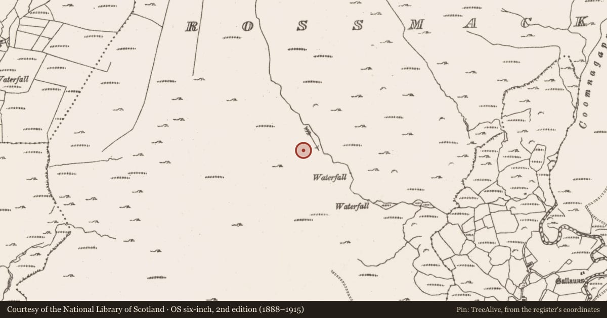 Ordnance Survey six-inch map, 2nd edition (1888–1915) covering the location of Hut site, Rossmackowen Commons, County Cork, with a pin at the register's coordinates