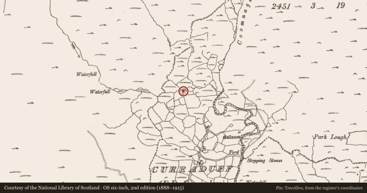 Ordnance Survey six-inch map, 2nd edition (1888–1915) covering the location of Fulacht fia, Curraduff (Bear By., Killaconenagh Par.), County Cork, with a pin at the register's coordinates