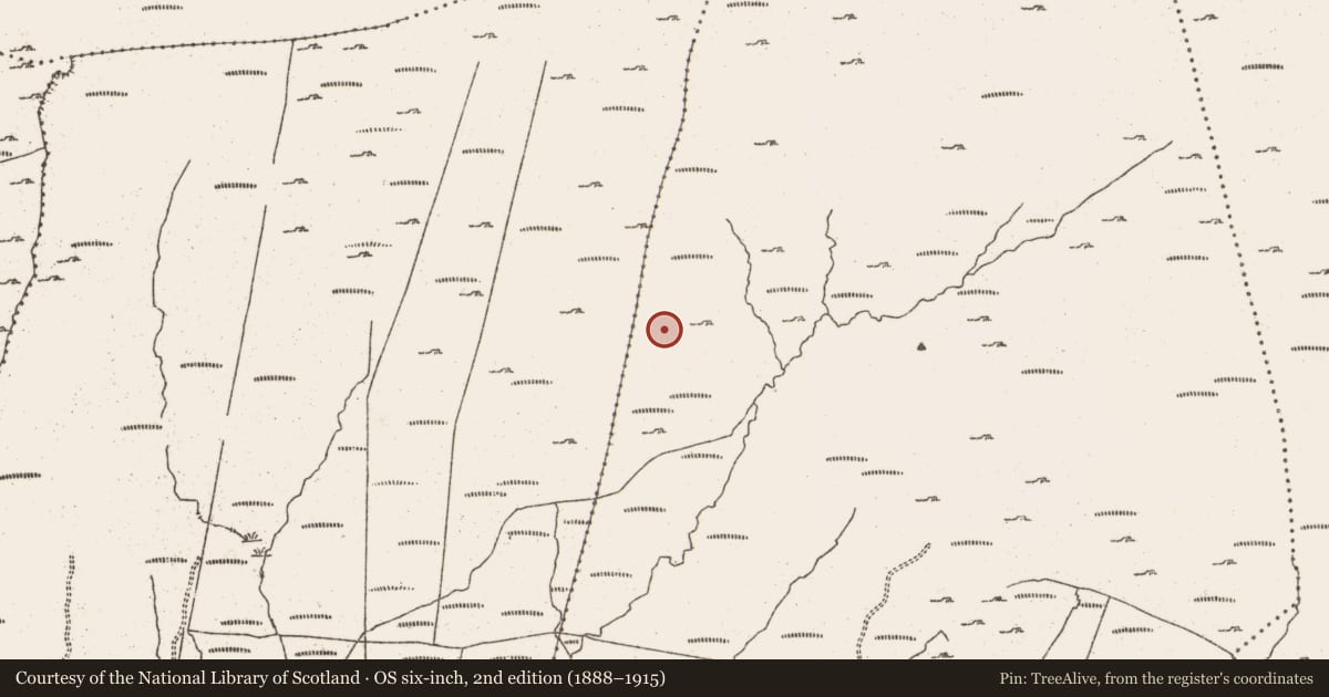 Ordnance Survey six-inch map, 2nd edition (1888–1915) covering the location of Hut site, Derrymihin East, County Cork, with a pin at the register's coordinates