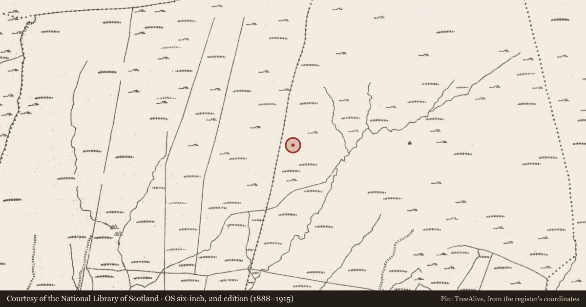 Ordnance Survey six-inch map, 2nd edition (1888–1915) covering the location of Hut site, Derrymihin East, County Cork, with a pin at the register's coordinates