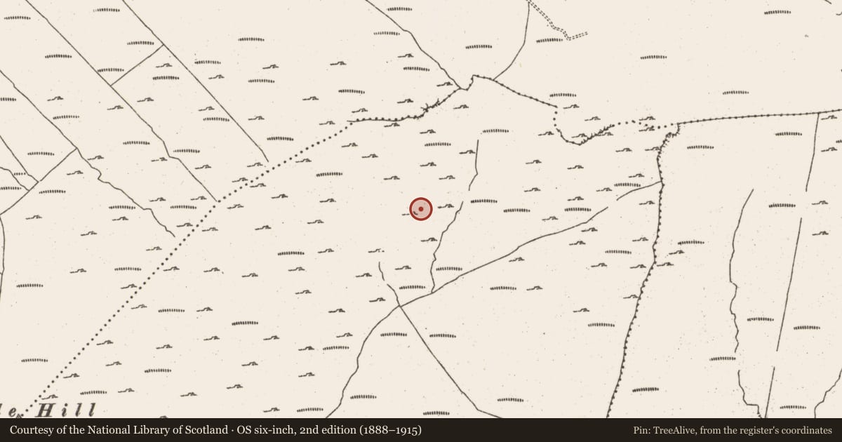 Ordnance Survey six-inch map, 2nd edition (1888–1915) covering the location of Hut site, Cloontreem, County Cork, with a pin at the register's coordinates