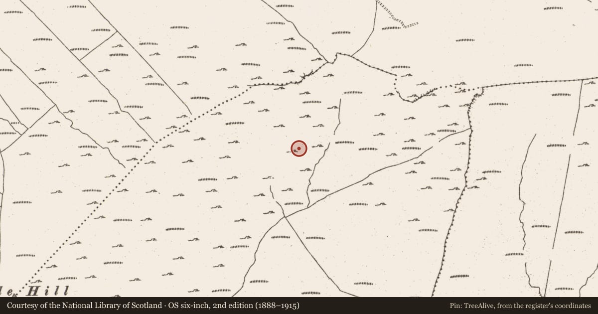 Ordnance Survey six-inch map, 2nd edition (1888–1915) covering the location of Hut site, Cloontreem, County Cork, with a pin at the register's coordinates