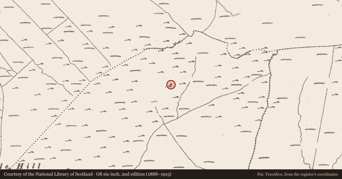 Ordnance Survey six-inch map, 2nd edition (1888–1915) covering the location of Hut site, Cloontreem, County Cork, with a pin at the register's coordinates