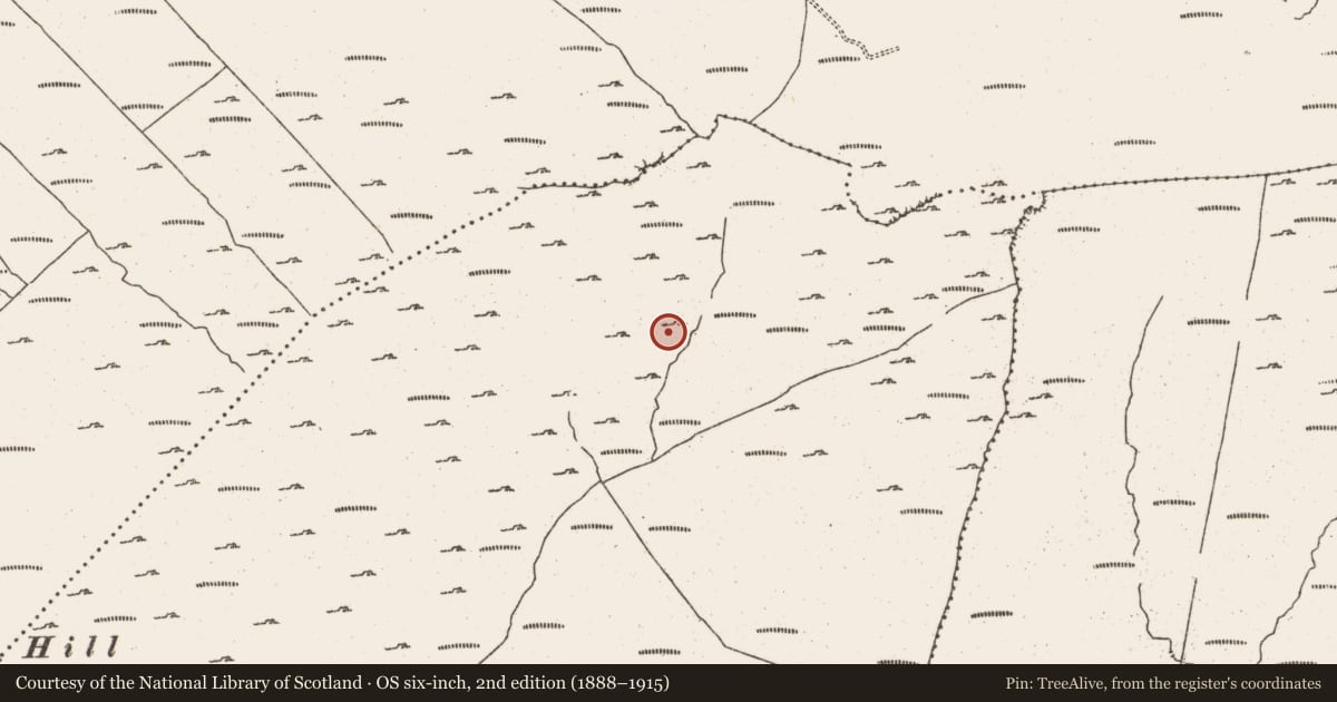 Ordnance Survey six-inch map, 2nd edition (1888–1915) covering the location of Hut site, Cloontreem, County Cork, with a pin at the register's coordinates