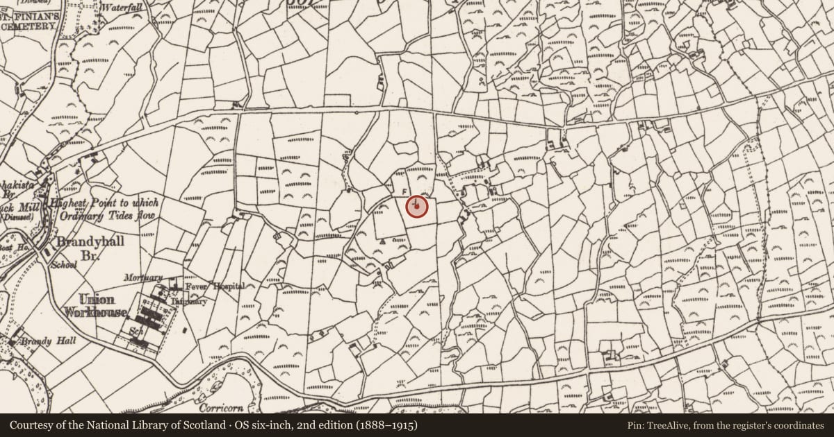 Ordnance Survey six-inch map, 2nd edition (1888–1915) covering the location of Church, Derrymihin West, County Cork, with a pin at the register's coordinates