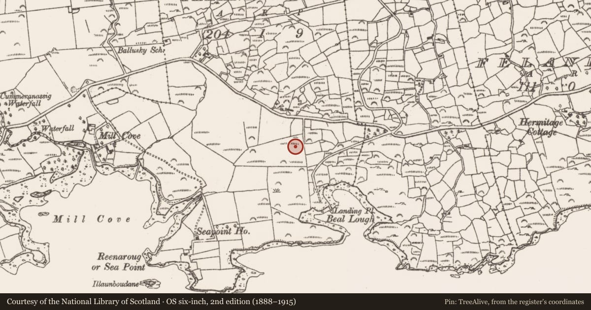 Ordnance Survey six-inch map, 2nd edition (1888–1915) covering the location of Children's burial ground, Felane West, County Cork, with a pin at the register's coordinates