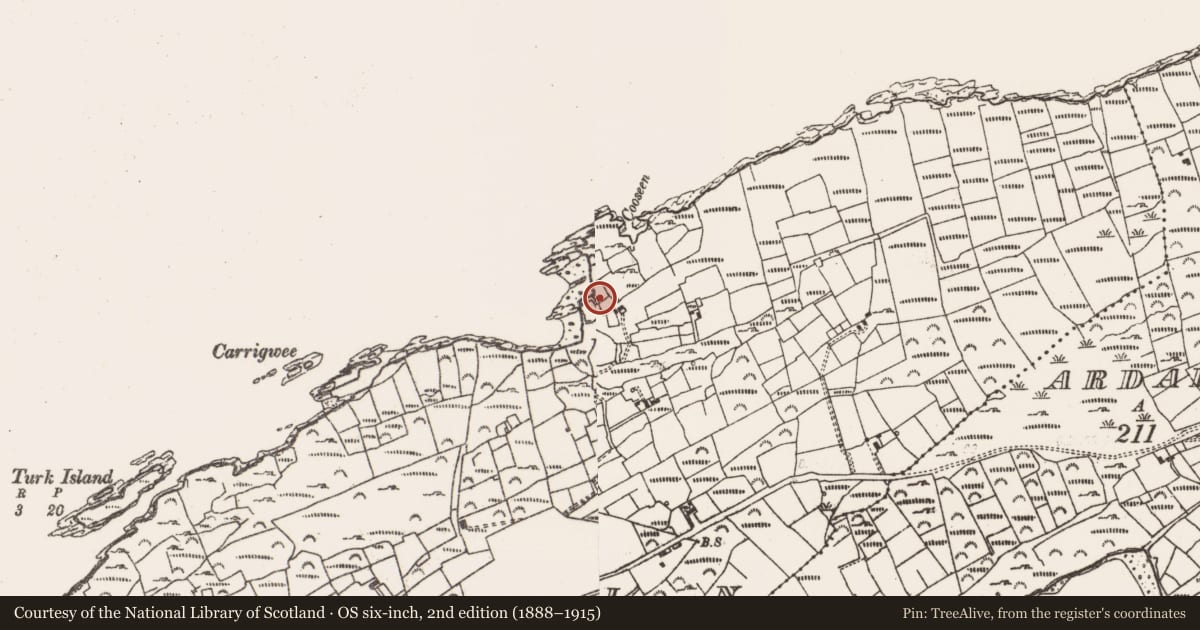 Ordnance Survey six-inch map, 2nd edition (1888–1915) covering the location of Fish palace, Rerrin, County Cork, with a pin at the register's coordinates