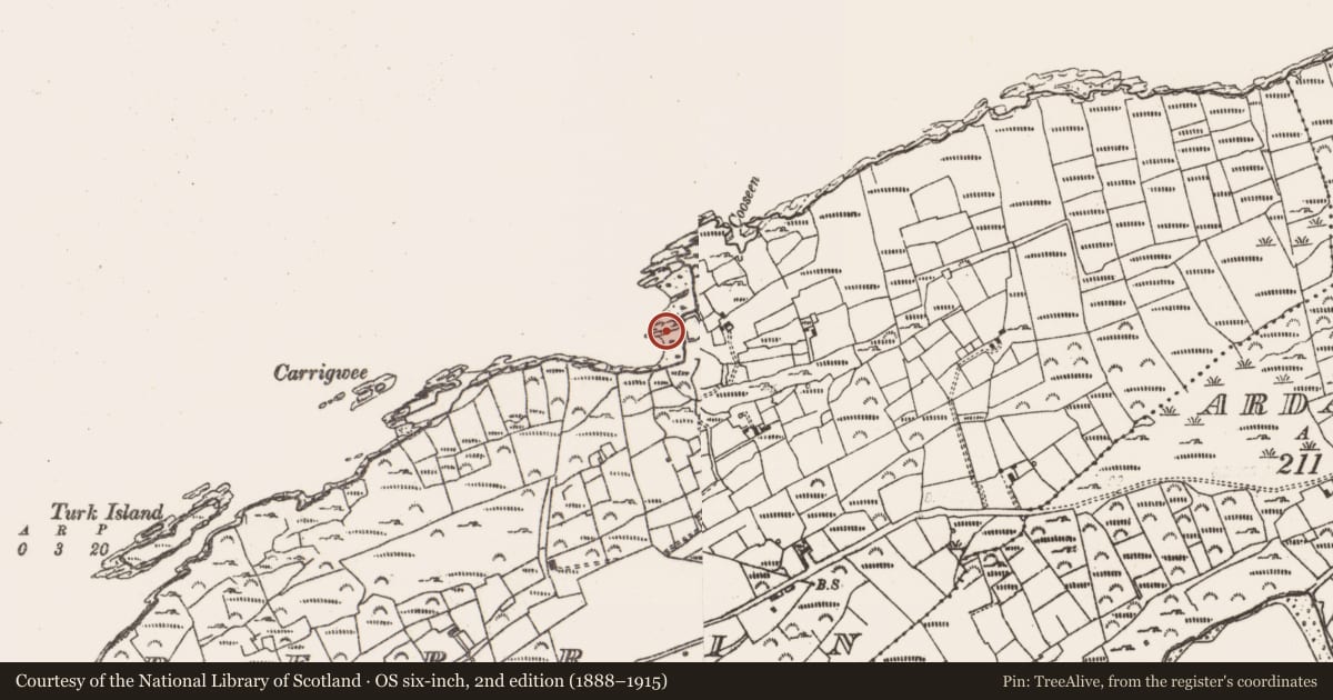Ordnance Survey six-inch map, 2nd edition (1888–1915) covering the location of Pier/Jetty, Rerrin, County Cork, with a pin at the register's coordinates