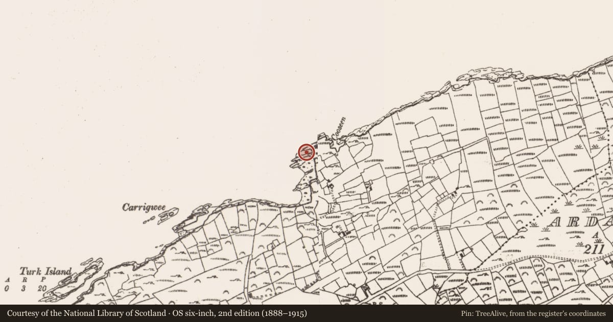 Ordnance Survey six-inch map, 2nd edition (1888–1915) covering the location of Structure, Rerrin, County Cork, with a pin at the register's coordinates