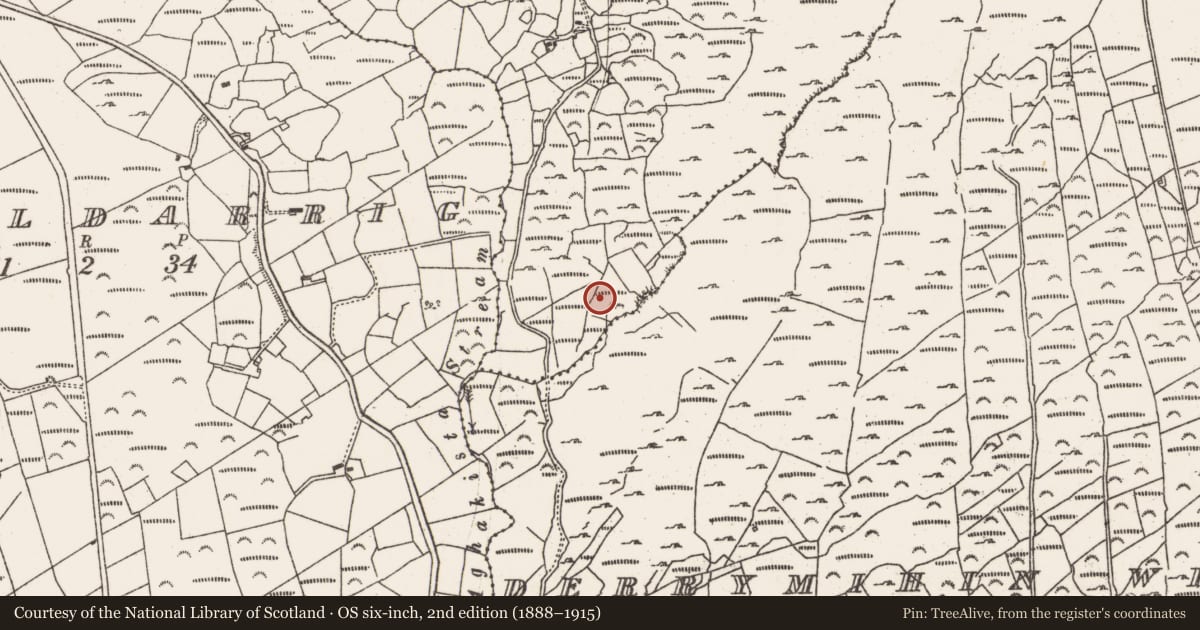 Ordnance Survey six-inch map, 2nd edition (1888–1915) covering the location of Standing stone, Cloontreem, County Cork, with a pin at the register's coordinates