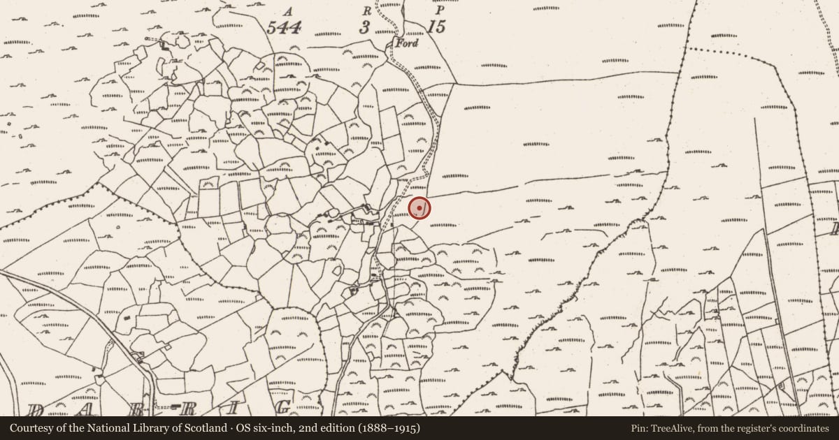 Ordnance Survey six-inch map, 2nd edition (1888–1915) covering the location of Standing stone, Cloontreem, County Cork, with a pin at the register's coordinates