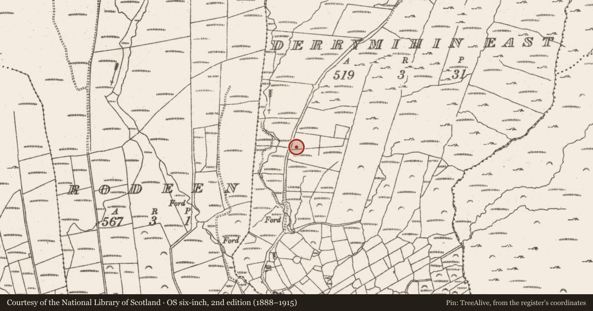 Ordnance Survey six-inch map, 2nd edition (1888–1915) covering the location of Standing stone (present location), Derrymihin East, County Cork, with a pin at the register's coordinates