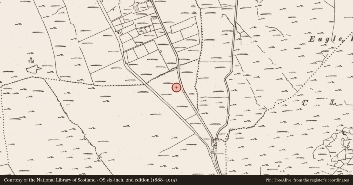 Ordnance Survey six-inch map, 2nd edition (1888–1915) covering the location of Fulacht fia, Foildarrig, County Cork, with a pin at the register's coordinates