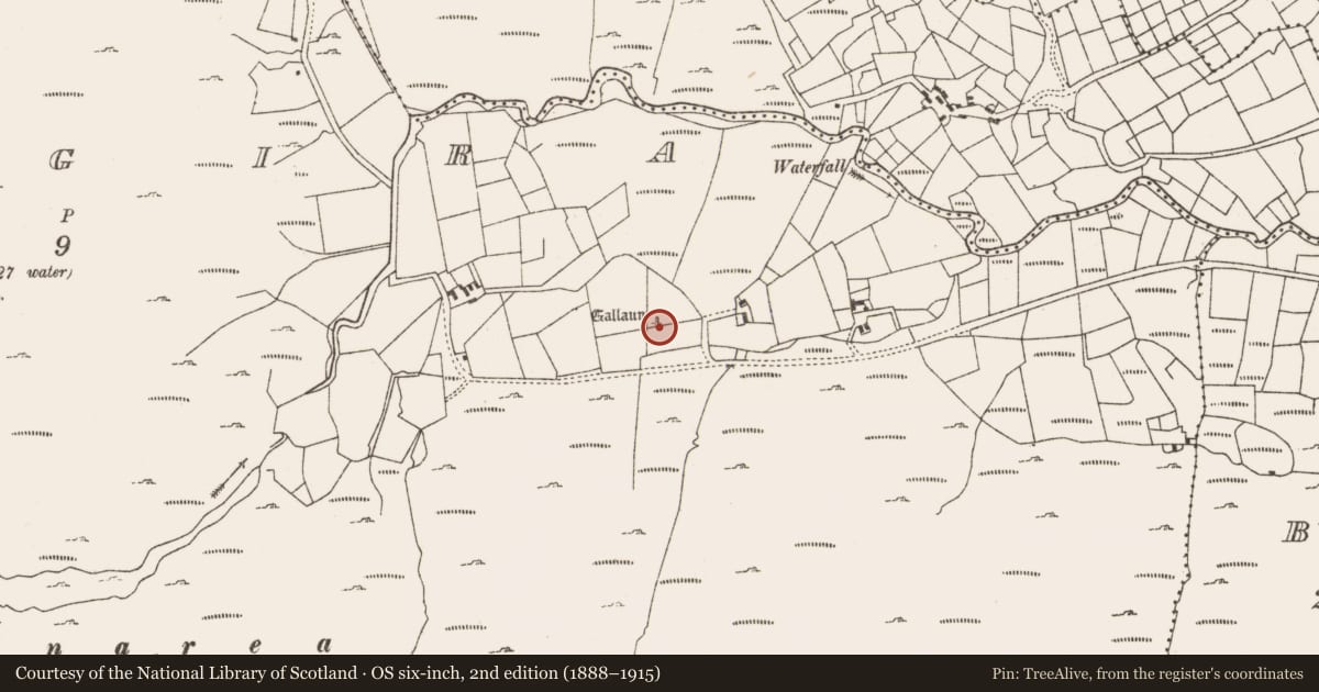 Ordnance Survey six-inch map, 2nd edition (1888–1915) covering the location of Standing stone, Coomgira, County Cork, with a pin at the register's coordinates
