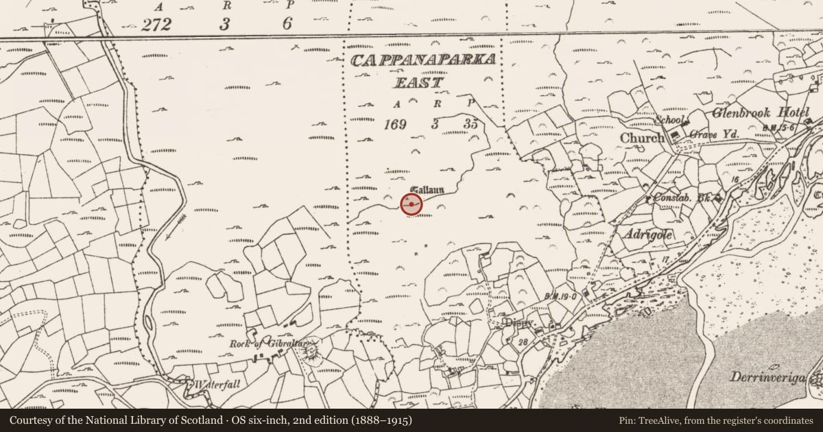 Ordnance Survey six-inch map, 2nd edition (1888–1915) covering the location of Standing stone, Cappanaparka East, County Cork, with a pin at the register's coordinates