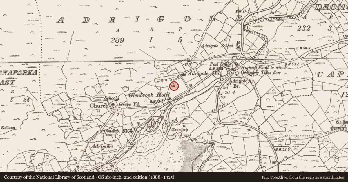 Ordnance Survey six-inch map, 2nd edition (1888–1915) covering the location of Metalworking site, Adrigole, County Cork, with a pin at the register's coordinates