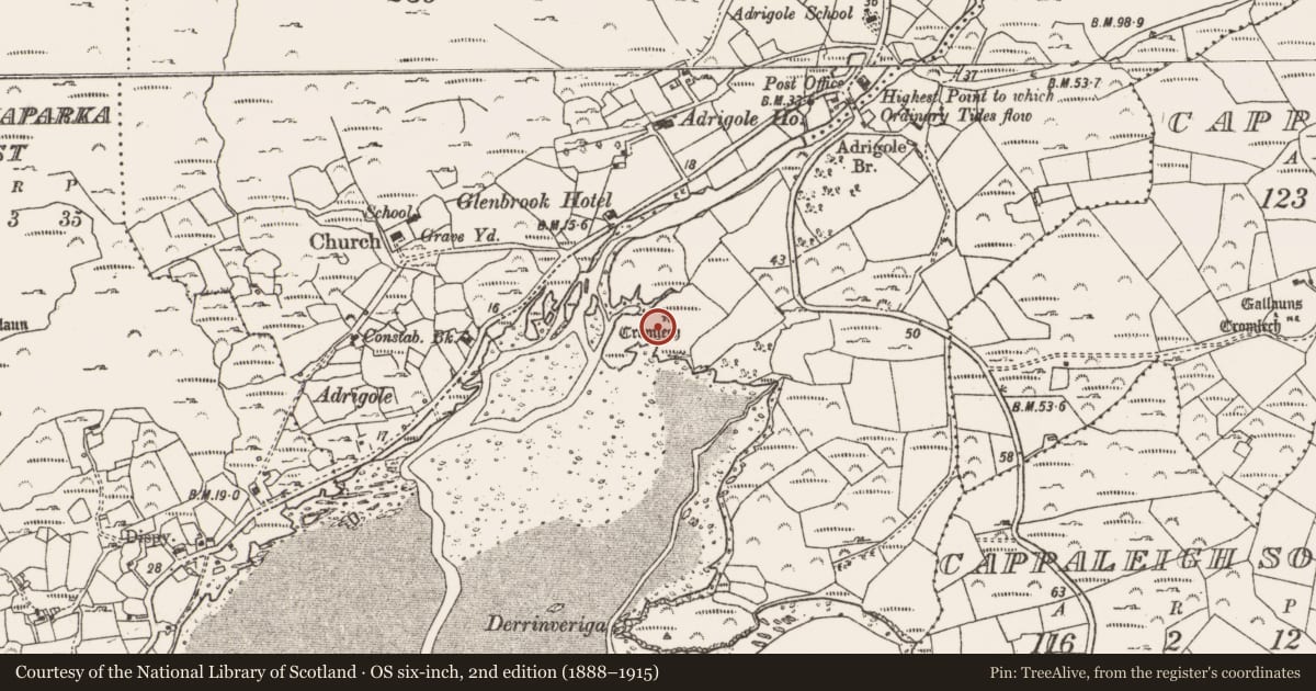 Ordnance Survey six-inch map, 2nd edition (1888–1915) covering the location of Stone circle - five-stone, Dromgarvan, County Cork, with a pin at the register's coordinates