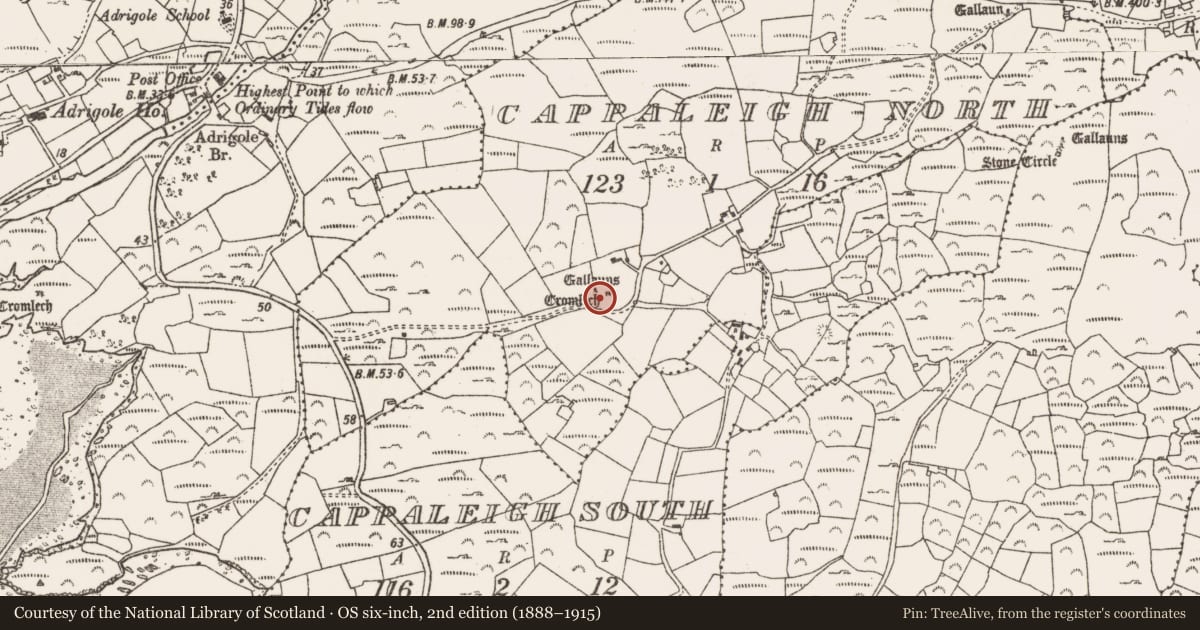 Ordnance Survey six-inch map, 2nd edition (1888–1915) covering the location of Boulder-burial, Cappaleigh North, County Cork, with a pin at the register's coordinates