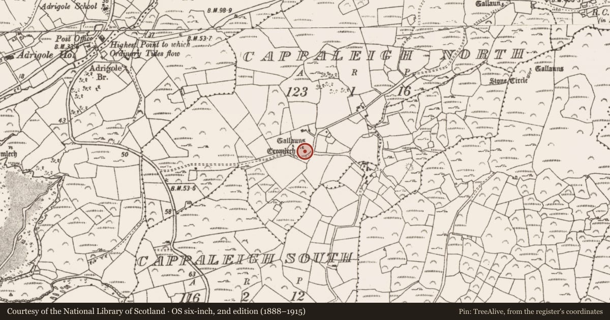 Ordnance Survey six-inch map, 2nd edition (1888–1915) covering the location of Standing stone, Cappaleigh North, County Cork, with a pin at the register's coordinates