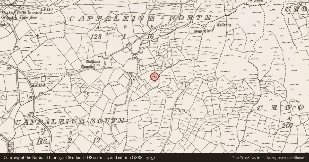 Ordnance Survey six-inch map, 2nd edition (1888–1915) covering the location of Ringfort - rath, Cappaleigh South, County Cork, with a pin at the register's coordinates