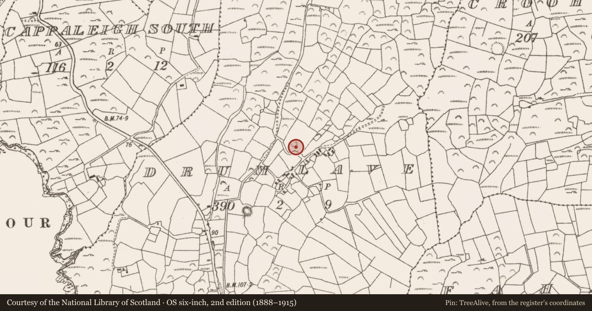 Ordnance Survey six-inch map, 2nd edition (1888–1915) covering the location of Ringfort - rath, Drumlave, County Cork, with a pin at the register's coordinates