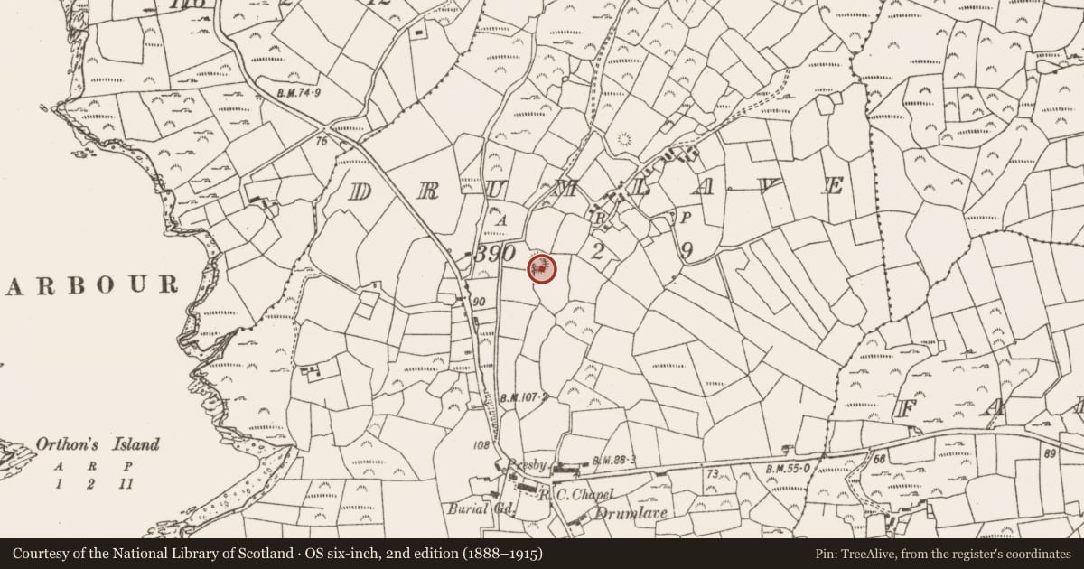 Ordnance Survey six-inch map, 2nd edition (1888–1915) covering the location of Ringfort - rath, Drumlave, County Cork, with a pin at the register's coordinates