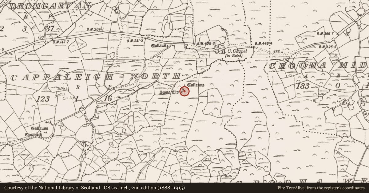 Ordnance Survey six-inch map, 2nd edition (1888–1915) covering the location of Hut site, Drumlave, County Cork, with a pin at the register's coordinates