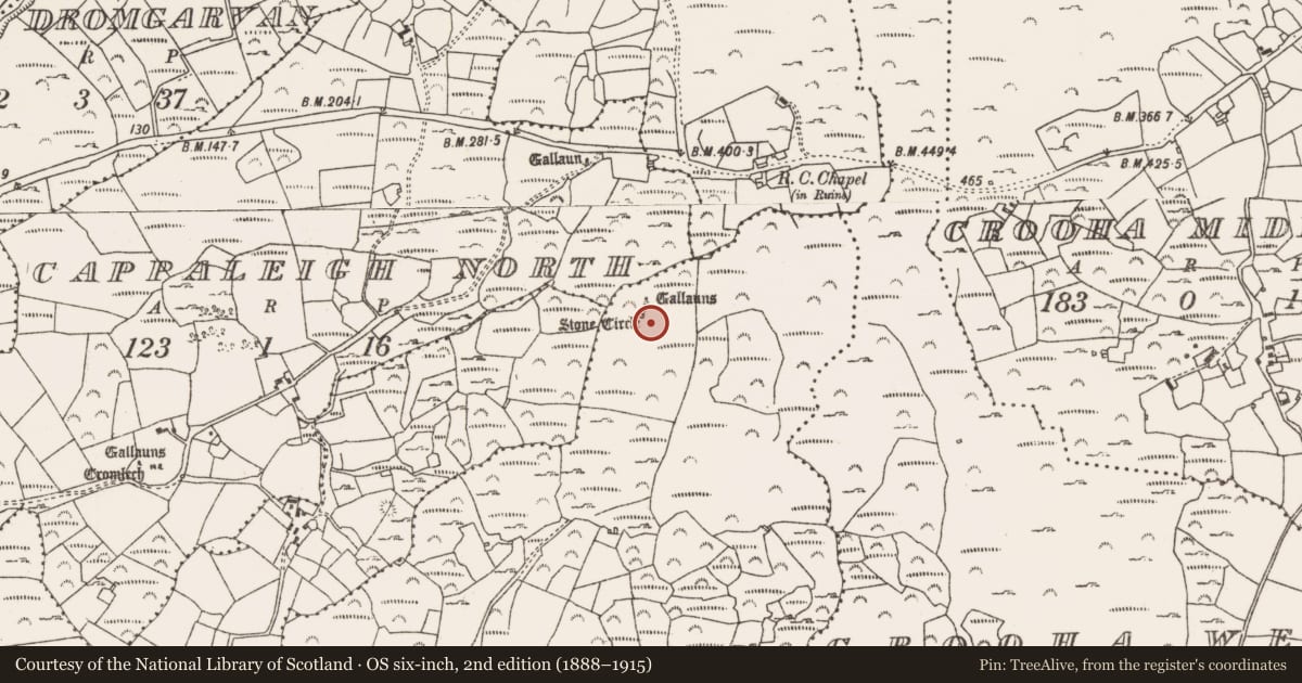 Ordnance Survey six-inch map, 2nd edition (1888–1915) covering the location of Hut site, Drumlave, County Cork, with a pin at the register's coordinates