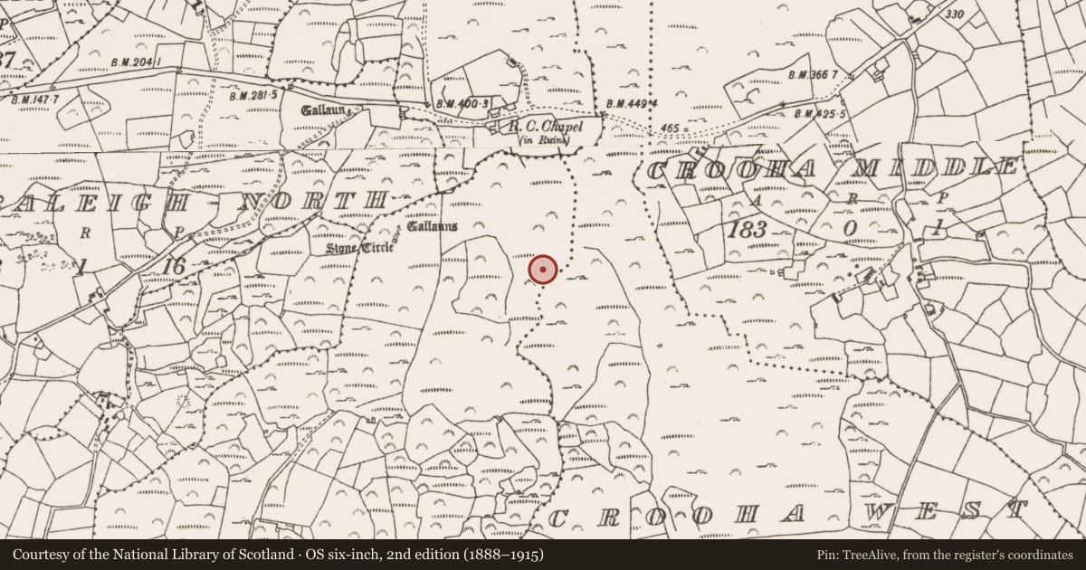Ordnance Survey six-inch map, 2nd edition (1888–1915) covering the location of Ritual site - holy well, Drumlave, County Cork, with a pin at the register's coordinates