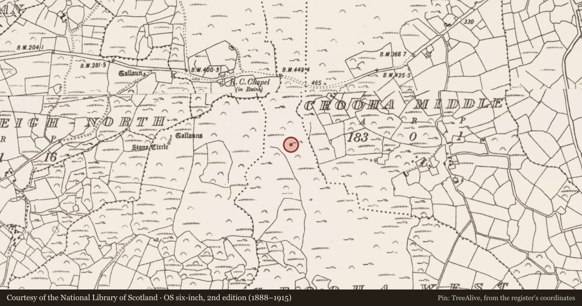 Ordnance Survey six-inch map, 2nd edition (1888–1915) covering the location of Cross-inscribed stone, Crooha West, County Cork, with a pin at the register's coordinates